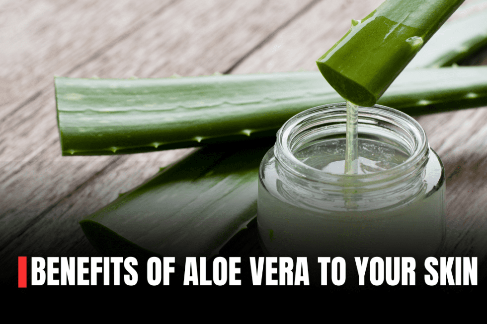 5 Unbelievable Benefits of Aloe vera gel for your skin, Pros & Cons ...