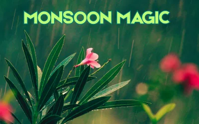 Monsoon Magic: Transform Your Space for Rainy Days