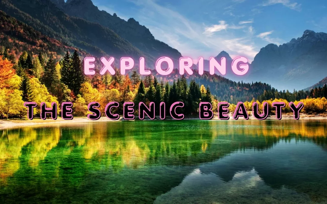 Scenic Beauty: More Than Just a View