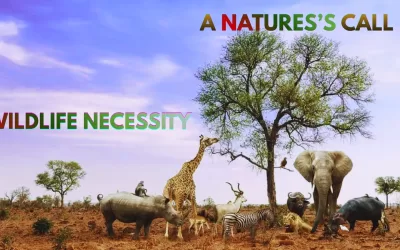 Wildlife Conservation: India’s Urgent Call
