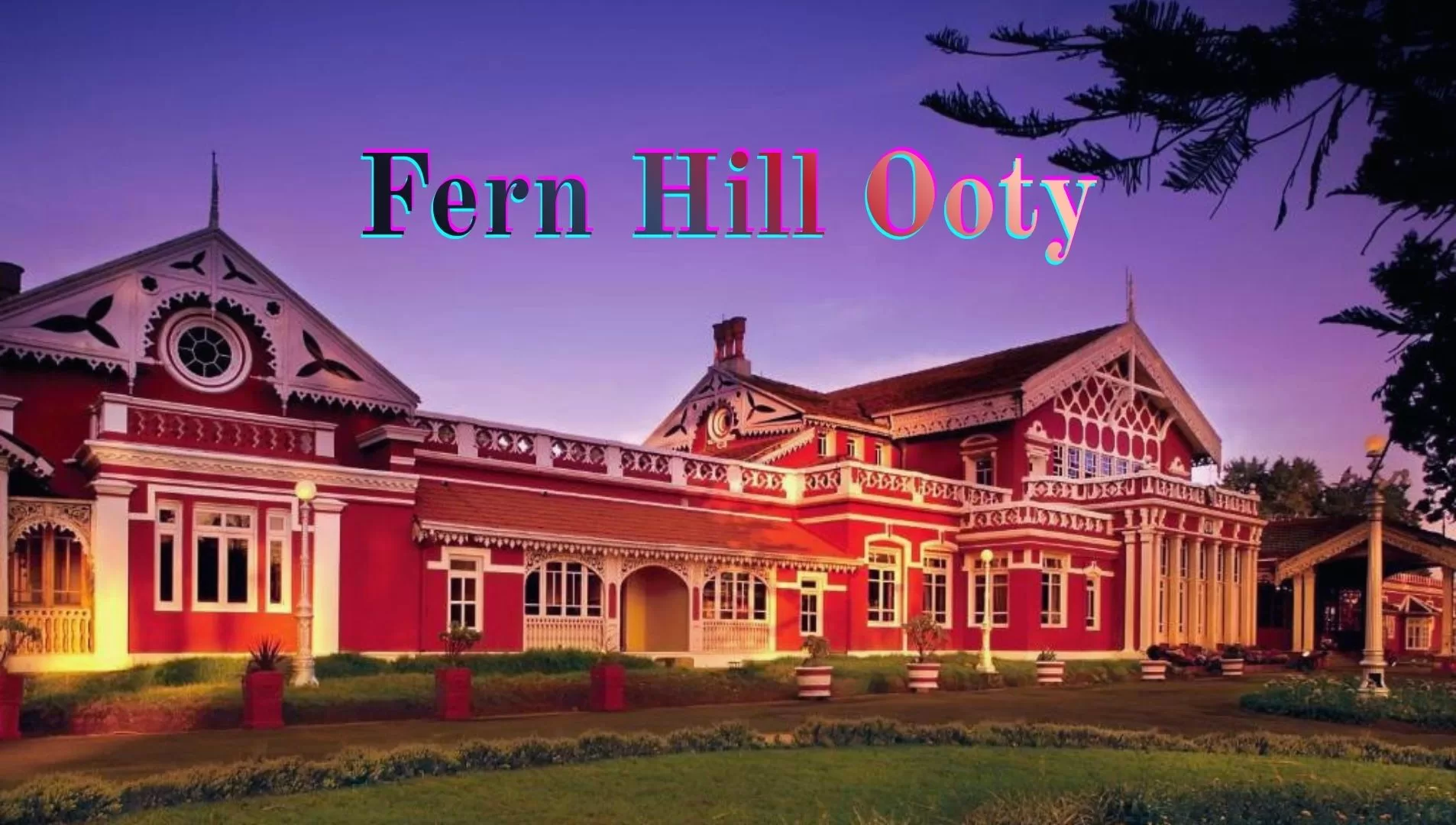 Fern HILL Ooty